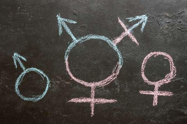 Female, transgender and male symbols on chalkboard